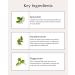 Spearmint & Meadowsweet Scalp Purifying Serum - Deep Cleansing Formula - Buy Online on GoSupps.com