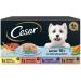 C sar Multipack Wet Food Rates for Senior Dogs Mixed Meat Selection (6 x 4 Tarrin x 150g Pack) - Buy Online on GoSupps.com