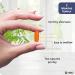 Hofseth Biocare Omega 3 6 9 High Strength Salmon Oil Capsules | 180 1000mg Softgels with EPA DHA & DPA | Sustainably Sourced, No Aftertaste - Buy Online on GoSupps.com