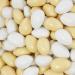 1kg Wedding Almond Conchiglia Mix | White Cream Pearl Sugar Almonds for Baptism & Guest Gifts - Buy Online on GoSupps.com