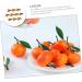 Zerodeko Fake Fruits 10pcs Stand for Decoration Simulation Oranges Ornament Realistic Oranges Artificial Fruit Decor Faux Tangerines Fake Oranges Layout Scene Decor Toy Set Foam Desktop - Buy Online on GoSupps.com