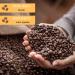 CAFFE' GUSTO CLASSICO LOUNGE BAR 1 KG CAFFE' MOTTA - Buy Online on GoSupps.com