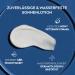 Nivea Sun Protection & Care Sun Milk LSF 50+ (3-Pack) - 200 ml Sunscreen for 48h Moisture & Immediate UVA/UVB Protection - Buy Online on GoSupps.com