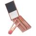 ABS Mini Makeup Brush Set - 5 Lightweight & Portable Brushes | Skin Friendly & Easy to Hold | Ideal for Beginners & Travel - Buy Online on GoSupps.com