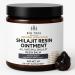 BIG TREE HERBALS Original Shilajit Resin Ointment - High Potency Gold Grade Balm for Men & Women Natural Energy & Wellness Boost 50G Pure Shilajit Extract