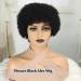 Plecare Afro Wigs: 100% Human Hair, Glueless Short Kinky Curly Wigs - Perfect for Cosplay or Daily Wear (Natural Black) - Buy Online on GoSupps.com