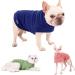 Docio Dog Sweater - Soft & Warm T-Shirt for Small Dogs & Cats | Red Spring Coat (1 Pack) - Buy Now! - Buy Online on GoSupps.com