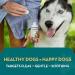 The Healthy Dog Co Spot On Flea and Tick Treatment for Dogs 100ml - Buy Online on GoSupps.com