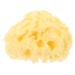 Healeved Moisturizer Body Sea for Bathing Natural Bath Sponge Shower Sponge for Body Bath for Bathing Natural for Body Sponge Shower Sponge Bath