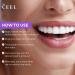 Ceel Lila Toothpaste for White Teeth - Purple Whitening Formula | 75g Color Correction Serum for a Glowing Smile - Buy Online on GoSupps.com