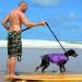 Emust Dog Life Jacket - Adjustable Floating Vest for Small/Medium/Large Dogs - Purple Mermaid with Rescue Handle for Water Safety - Buy Online on GoSupps.com