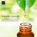 Dr Botanicals 5% Vitamin C & 2% Hyaluronic Acid Facial Serum - Anti-Aging Hydrating Skin Brightening Solution for Youthful Skin - Buy Online on GoSupps.com