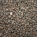 Thompson Seedless Raisins - 5 lb. Bulk Box | Premium Quality Dried Fruit - Buy Online on GoSupps.com