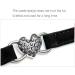 AIXI Cat Collar with Safety Belt and Bell - Heart Bling Design - 8-11 Inches - Black - Buy Online on GoSupps.com