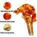 Beyiwenoo Premium Silk Belly Dance Fan Veil - 1 Pair (Orange) - 71 Length x 35 Width - For Dancing Show and Flow Arts - Buy Online on GoSupps.com