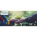 Himalaya Cystone Tablets | Ayurvedic Urinary Tract & Kidney Stone Support | 100 Tablets - Shop Internationally - Buy Online on GoSupps.com