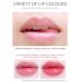 Buy 2 PCS Color Changing Lipstick - Carrot & Cherry Waterproof Lip Balm | Long Lasting PH Temperature Color Change for Chapped & Darkened Lips - Buy Online on GoSupps.com