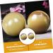 Healeved 2-St Horn Fitness Ball - Mini Spiky Massage Balls for Wrist Strengthening & Meditation Tools - International Shipping Available - Buy Online on GoSupps.com