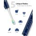 7AM2M Sonic Electric Toothbrush with 6 Brush Heads for Kids and Children One Charge for 90 Days Wireless Fast Charge 5 Modes with 2 Minutes Build in Smart Timer Electric Toothbrushes(Navy Blue) - Buy Online on GoSupps.com