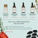Juicy Chemistry Chilli Horsetail & Blackseed Hair Oil- 30ml | Clinically Tested for Hair Growth & Fall Control | 100% Certified Natural | Men & Women | Crimson Red - Buy Online on GoSupps.com