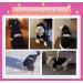 Izefia Dog Hooded Sweater - Premium Cotton Pet Clothing for Small & Medium Dogs - Black Size L - Warm & Cozy Security RDC Jacket - Buy Online on GoSupps.com