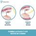 Vidaprime Pack X20 Extra Fine Intermediate Brushes - Soft Interdental Brush for Tartar Removal - Perfect for Interdental Spaces 0.5mm 0.8mm 1mm - Buy Online on GoSupps.com