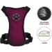 Slowton XXS Dog Harness with Safety Belt for Car - Breathable Latex Fabric - Burgundy - Perfect for Everyday Sports - Buy Online on GoSupps.com