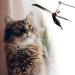 cobee Cat Wand Toys Interactive Cat Toys with 2 Feather Refills Cat Feather Propeller Wand Toy with Bell Cat Feather Toys Replacement Refills Indoor Cat String Toy for Kitten Training(Piebald) - Buy Online on GoSupps.com