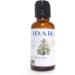 Buy Xetomos Deodar Wood Cedar Oil 30ml - Enhanced Himalaya Cedar Aromatherapy | Premium Devadaru Oil - Buy Online on GoSupps.com