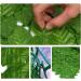 Artificial Ivy Privacy Fence Screen Artificial Hedge Fence Green Leaf Screen Plant Wall Decorative Backdrop for Outdoor Indoor Garden Fence and Wedding 0408(Color: Size:200x500cm) () - Buy Online on GoSupps.com