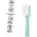 Clispeed 10 Soft Disposable Travel Toothbrushes - Ergonomic & Portable Toothbrushes for Adults - Buy Online on GoSupps.com
