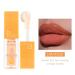 Plumping Lip Oil Set - Hydrating Tinted Lip Balm & Gloss | Moisturizing Fruit Extract Lip Care for Dry Lips - Long Lasting & Non-Sticky (Orange - Buy Online on GoSupps.com