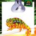 Terra Exotica Neo Spot - UV Reflector Spotlight for Terrariums (25W) | Ideal Heat & Light Source for Inhabitants - Ships Internationally - Buy Online on GoSupps.com