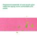 Sports Adhesive Tape Therapeutic Care Bandage Breathable 5CM*5M Kinesiology for Muscle Joints Physical Therapy Tape Mint Summer Elastic Knee Protector Intramuscular Effect Patch 2 Rolls green - Buy Online on GoSupps.com