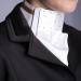 Amesbichler Reitsport Ladies Plastron Precious - White-Gold Dressage Riding Accessory | Harry's Horse - Buy Online on GoSupps.com
