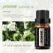 GREENSLEEVES Gardenia + Jasmine Essential Oil 10ml - Pure & Aromatic - Buy Online on GoSupps.com