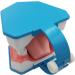Large 6-Fold Dental Model for Kids - Ideal for Oral Care Lessons Tooth Brushing & Prosthesis Study - Buy Online on GoSupps.com