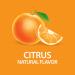 21st Century ImmuBlast Citrus - 32 Chewable Tablets for Immune Support - Buy Online on GoSupps.com