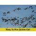 ESH Wooden Waterfowl Call for Beginner and Pro Hunters - Goose Hunting Essential - Buy Online on GoSupps.com