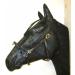 Buy PS Horse French Cavesson Cavecon with D-Rings - Soft Full Brown with Gold Fittings | International Shipping Available - Buy Online on GoSupps.com