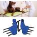 Jauarta Dog Hind Leg Brace Breathable Elastic Shockproof Dog Leg Protector for Pets and Dogs (L) - Buy Online on GoSupps.com