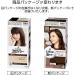 Kao | Liese Prettia AWA Hair Color KAMI IRO MODOSHI | Natural Brown - Buy Online on GoSupps.com