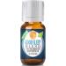 Good Sleep Blend Essential Oil - 100% Pure Therapeutic Grade Good Sleep Blend Oil - 10ml