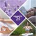 NV Superfoods Lavender Essential Oil Roll-On 10ml - 100% Natural Therapeutic Grade for Skin, Hair & Relaxation - Buy Online on GoSupps.com