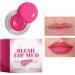 Lip and Cheek Tint - Long-Lasting Matte Natural Cosmetics - Plumping Effect Lip and Cheek Tint - For Women Friends Travel Daily Life Parties Dates Office Transportation Birthdays Vacations - Buy Online on GoSupps.com