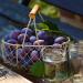 Buy Me mer French Plum Tea - 20 Gluten-Free Lactose-Free Vegan Tea Bags for International Shipping - Buy Online on GoSupps.com