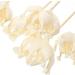 Ounona 5-Stick Aroma Sticks - Aromatherapy Accessories for Essential Oils & Diffusers | Dried Flower Refills - Buy Online on GoSupps.com