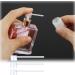 NADDZ Perfume Dispenser Perfume Dispenser Pump Perfume Refill Pump 12 Pieces Cosmetic Dispenser Pump Transfer Tool Refillable Perfume Spray Bottle Easy to Use Suitable for Travel. - Buy Online on GoSupps.com