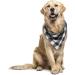 PRO BLAZES 100% Pure Cotton Dog Bandana - Pack of 2 4 & 6 Dog Bandanas - Dog Bandanas for Large Dogs - Washable Bandanas for Dogs - Pet Gift Accessories Bandana for Dogs - Cool Smart Dog Scarfs (L (Pack of 4)) - Buy Online on GoSupps.com