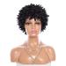 Afro Kinky Curly Wigs Twist Hair for Black Women Wig Synthetic Short Natural Black Wig Hair (Black)